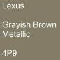 Preview: Lexus, Grayish Brown Metallic, 4P9.